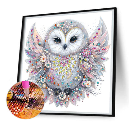 Bald Owl - Special Shaped Drill Diamond Painting 30*30CM