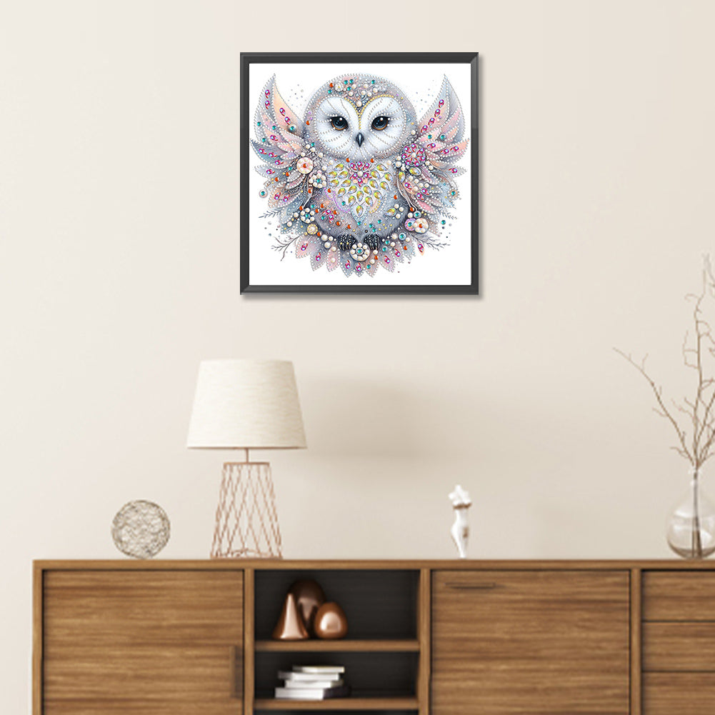 Bald Owl - Special Shaped Drill Diamond Painting 30*30CM