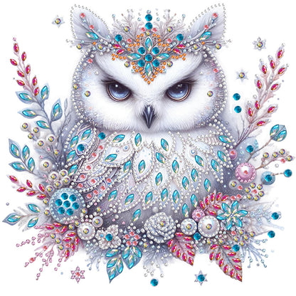 Bald Owl - Special Shaped Drill Diamond Painting 30*30CM
