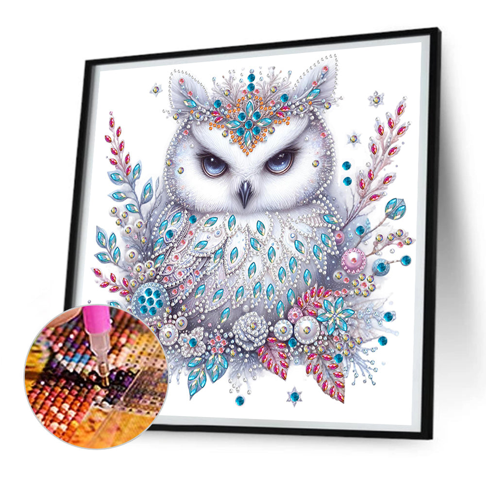 Bald Owl - Special Shaped Drill Diamond Painting 30*30CM