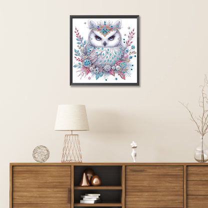 Bald Owl - Special Shaped Drill Diamond Painting 30*30CM