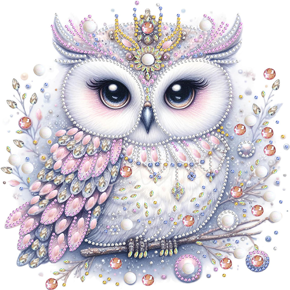 Bald Owl - Special Shaped Drill Diamond Painting 30*30CM