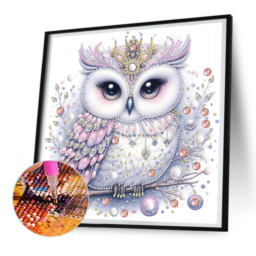 Bald Owl - Special Shaped Drill Diamond Painting 30*30CM