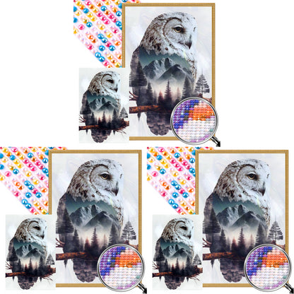 Owl - Full AB Round Drill Diamond Painting 40*60CM