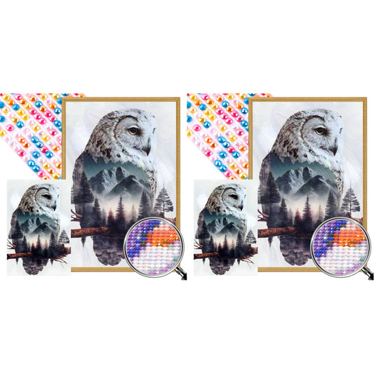 Owl - Full AB Round Drill Diamond Painting 40*60CM