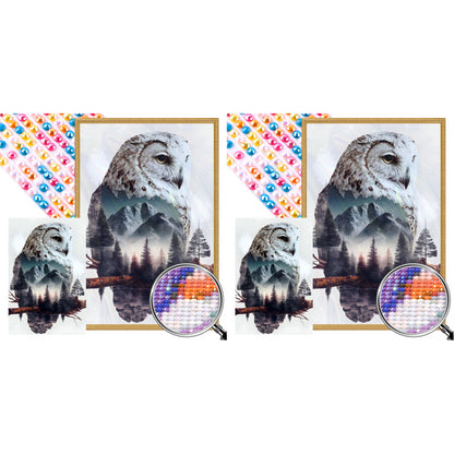 Owl - Full AB Round Drill Diamond Painting 40*60CM