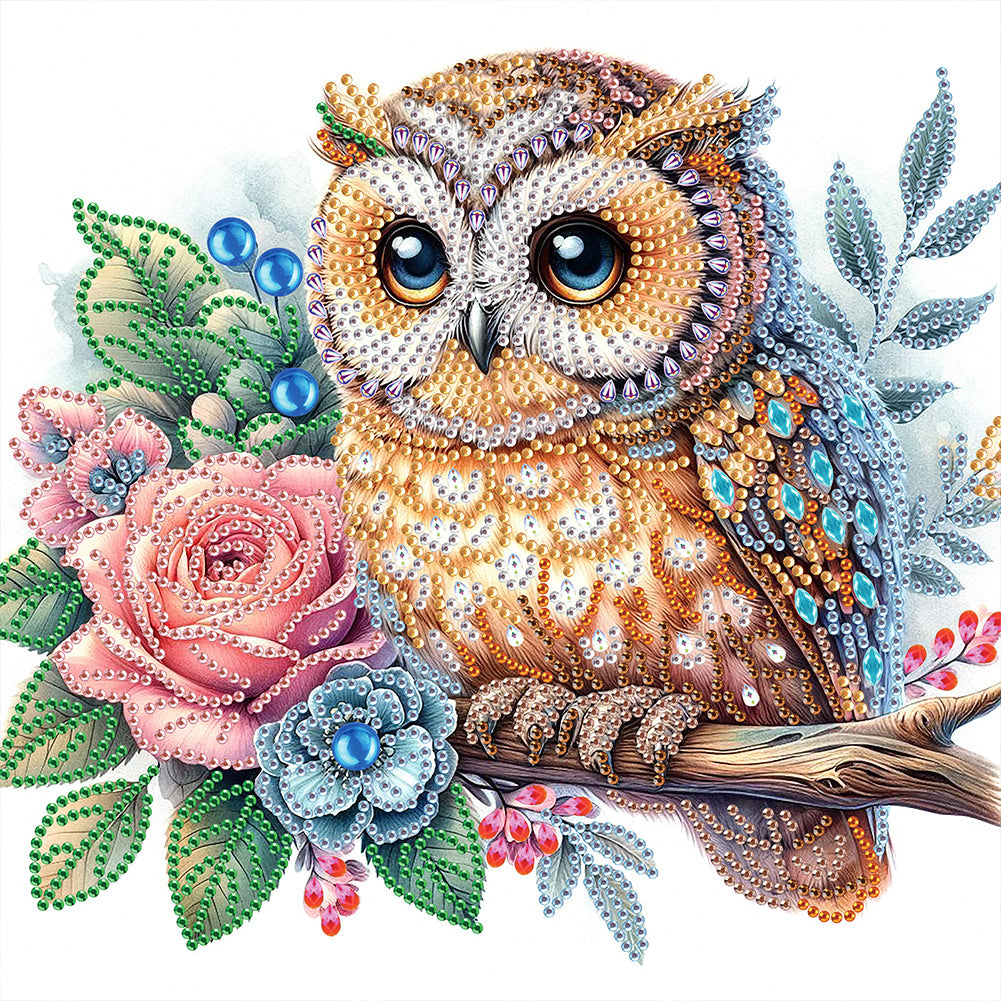 Owl - Special Shaped Drill Diamond Painting 30*30CM