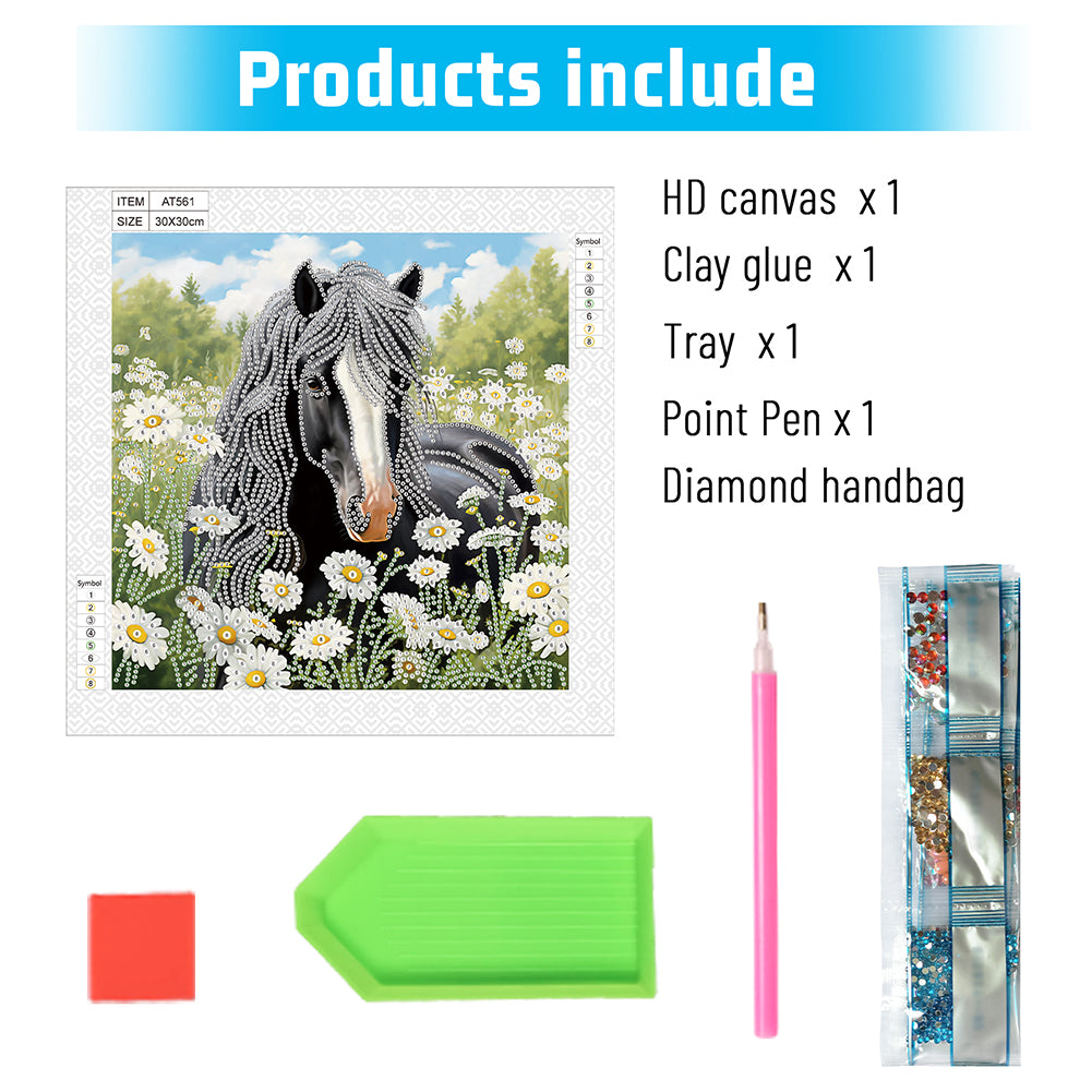 Horse - Special Shaped Drill Diamond Painting 30*30CM