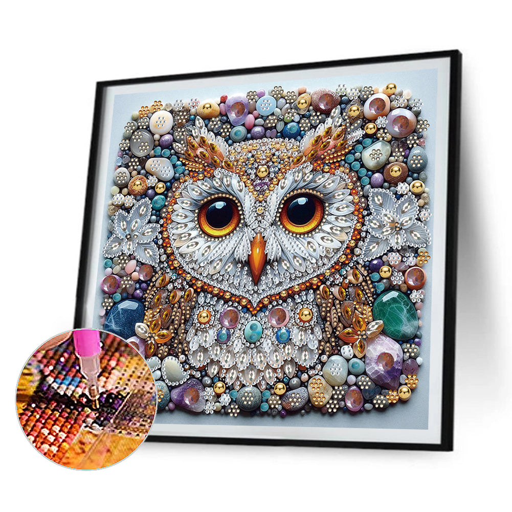 Owl Bird Carriage - Special Shaped Drill Diamond Painting 30*30CM