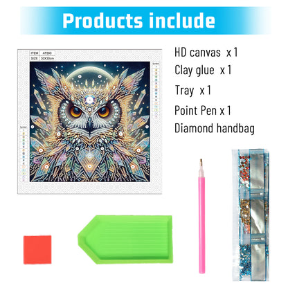 Owl - Special Shaped Drill Diamond Painting 30*30CM