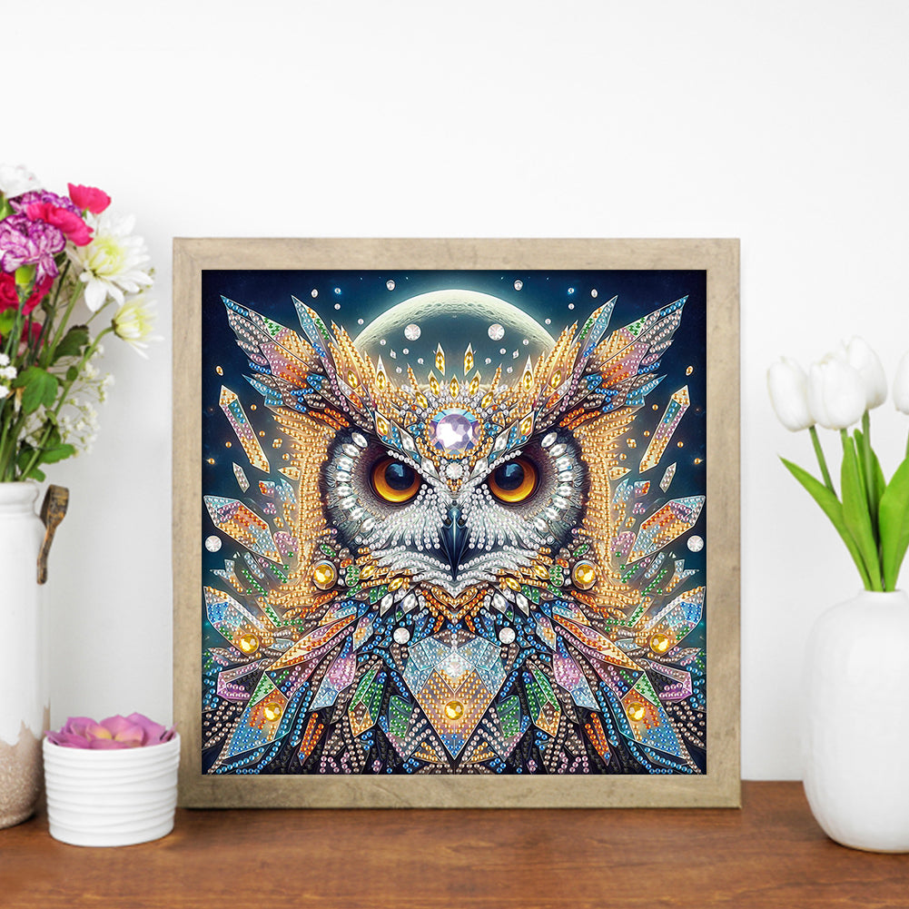 Owl - Special Shaped Drill Diamond Painting 30*30CM