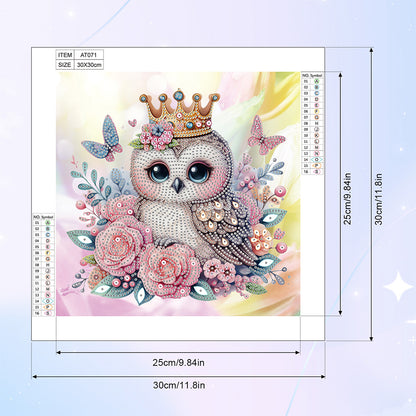 Owl - Special Shaped Drill Diamond Painting 30*30CM