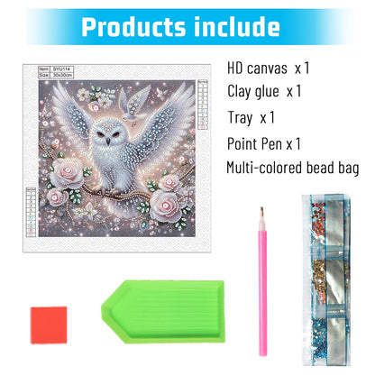 Owl - Special Shaped Drill Diamond Painting 30*30CM