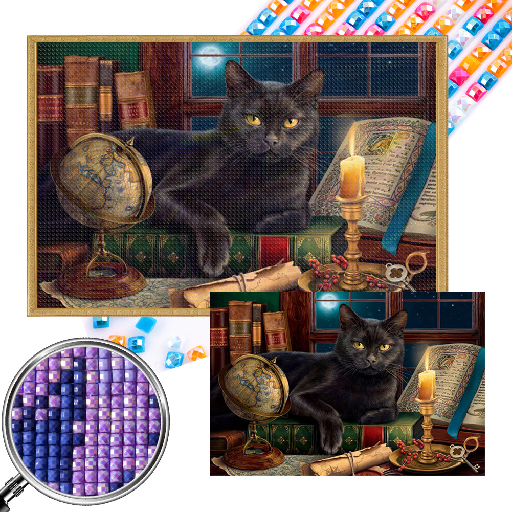 Black Cat - Full AB Square Drill Diamond Painting 60*40CM