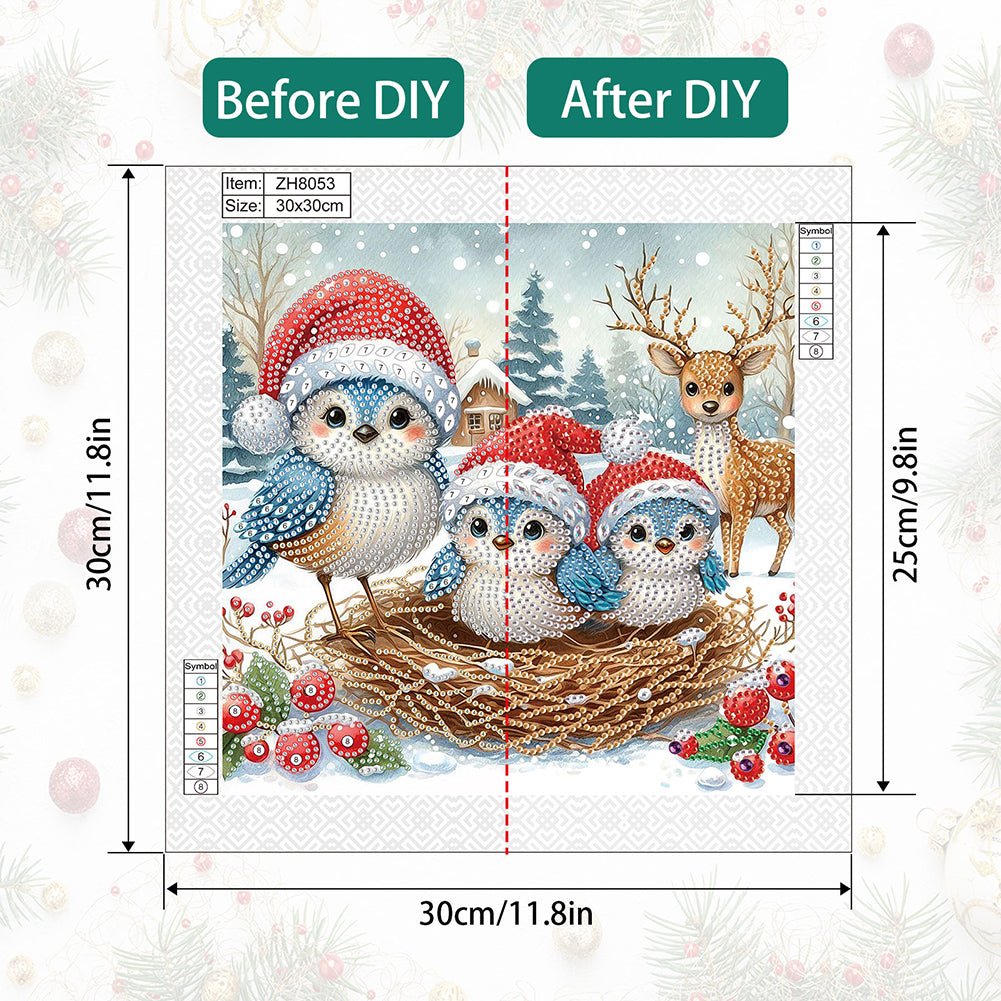 Christmas Bird - Special Shaped Drill Diamond Painting 30*30CM