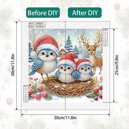 Christmas Bird - Special Shaped Drill Diamond Painting 30*30CM