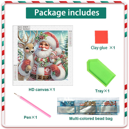 Santa Claus - Special Shaped Drill Diamond Painting 30*30CM