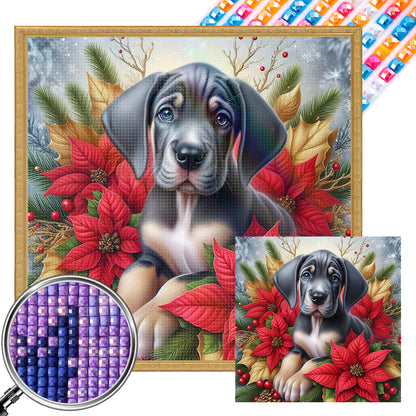 Christmas Poinsettia Dog - Full AB Square Drill Diamond Painting 40*40CM