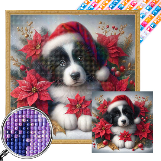 Christmas Poinsettia Dog - Full AB Square Drill Diamond Painting 40*40CM