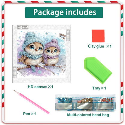 Cute Christmas Bird - Partial Special-Shaped Drill Diamond Painting 30*30CM