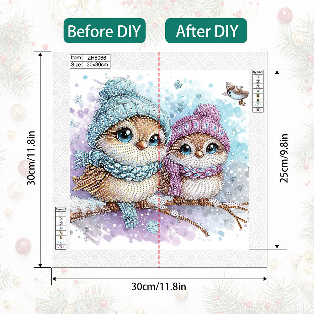 Cute Christmas Bird - Partial Special-Shaped Drill Diamond Painting 30*30CM