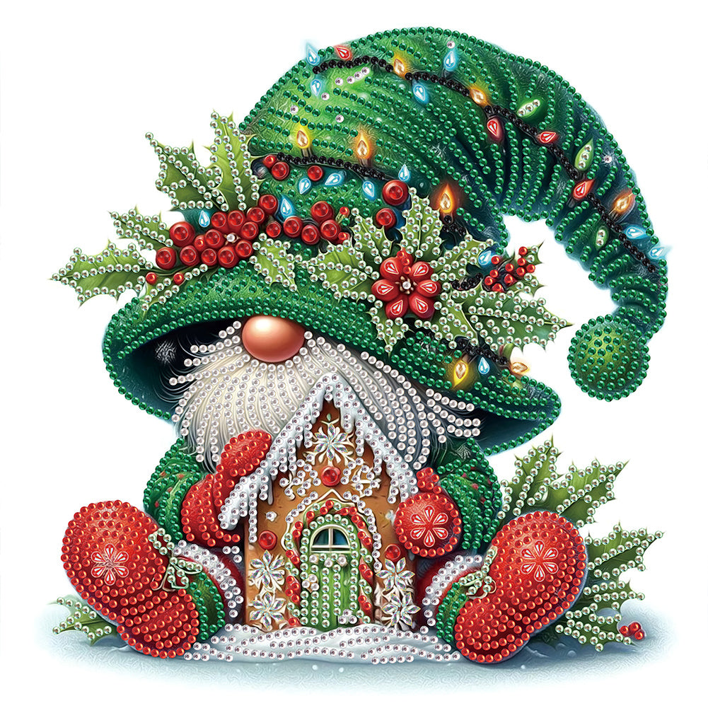 Christmas Gnome - Partial Special-Shaped Drill Diamond Painting 30*30CM