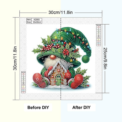 Christmas Gnome - Partial Special-Shaped Drill Diamond Painting 30*30CM