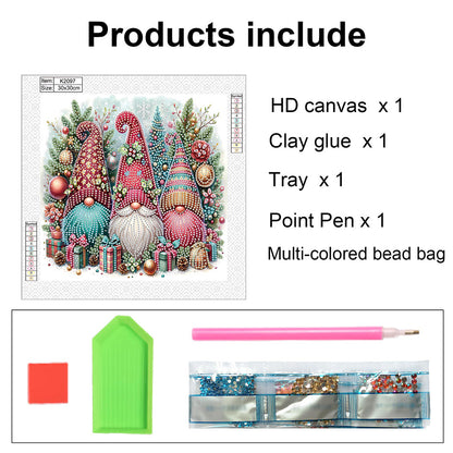 Christmas Gnome - Partial Special-Shaped Drill Diamond Painting 30*30CM