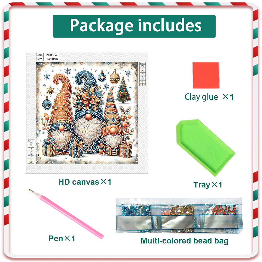 Christmas Gnome - Partial Special-Shaped Drill Diamond Painting 30*30CM