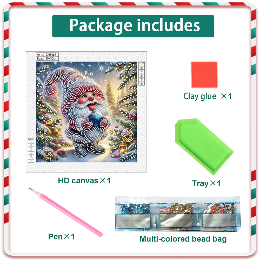 Christmas Gnome - Partial Special-Shaped Drill Diamond Painting 30*30CM