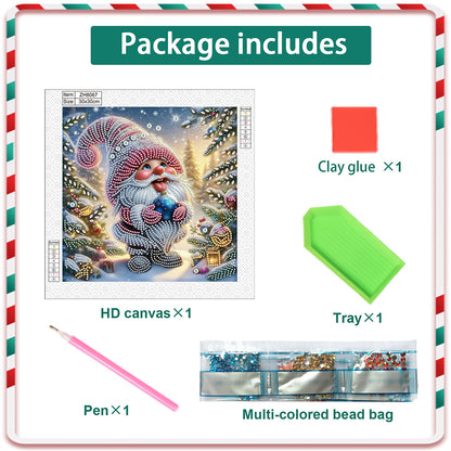 Christmas Gnome - Partial Special-Shaped Drill Diamond Painting 30*30CM