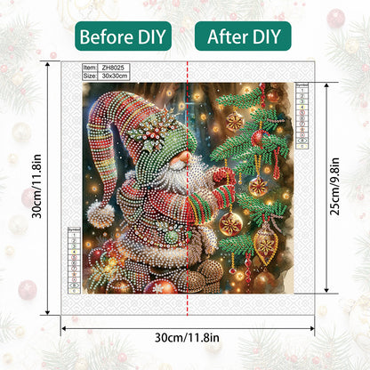 Christmas Gnome - Partial Special-Shaped Drill Diamond Painting 30*30CM