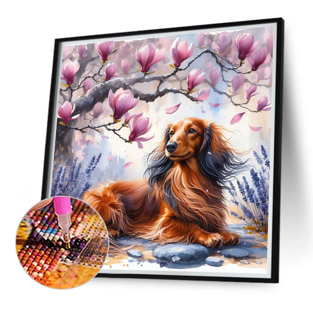 Magnolia Dachshund - Full Round Drill Diamond Painting 40*40CM