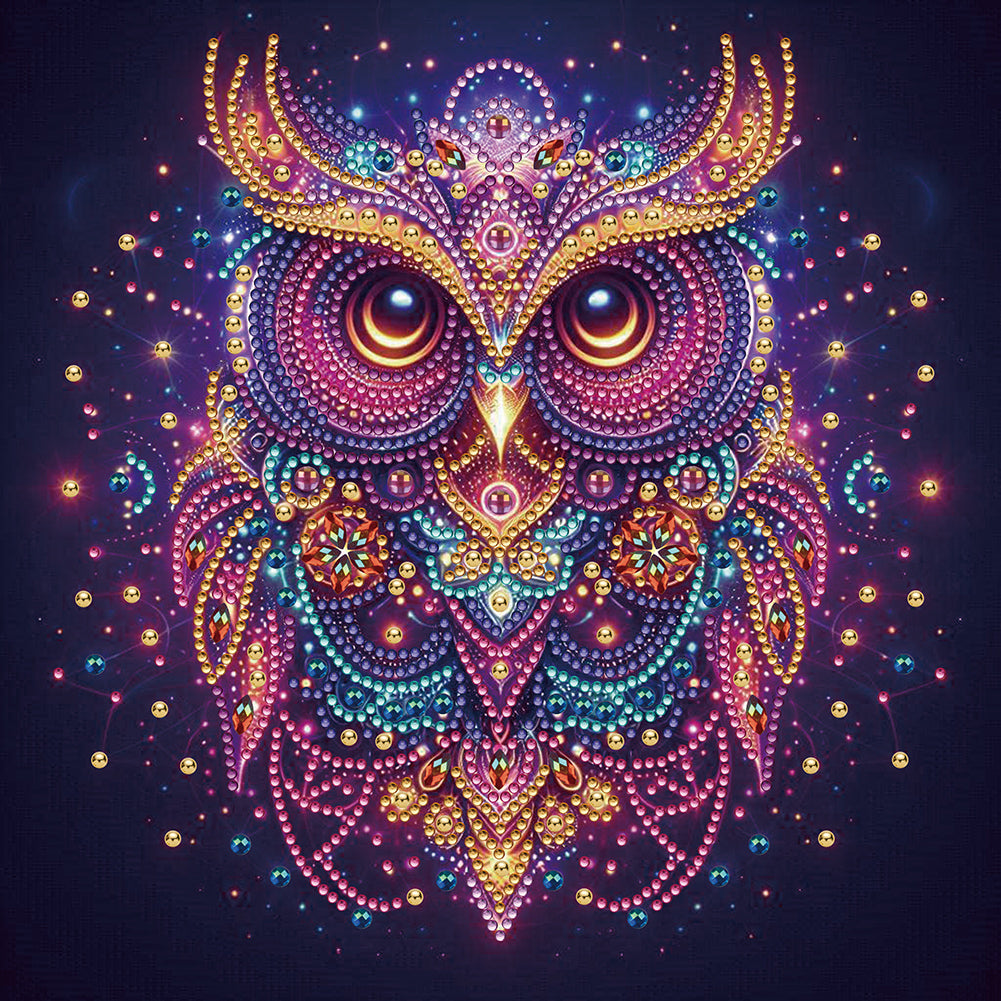 Starlight Animal Owl - Partial Special-Shaped Drill Diamond Painting 30*30CM