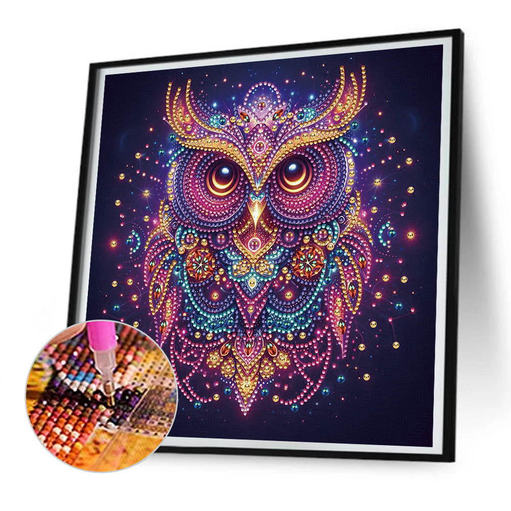 Starlight Animal Owl - Partial Special-Shaped Drill Diamond Painting 30*30CM