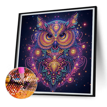 Starlight Animal Owl - Partial Special-Shaped Drill Diamond Painting 30*30CM