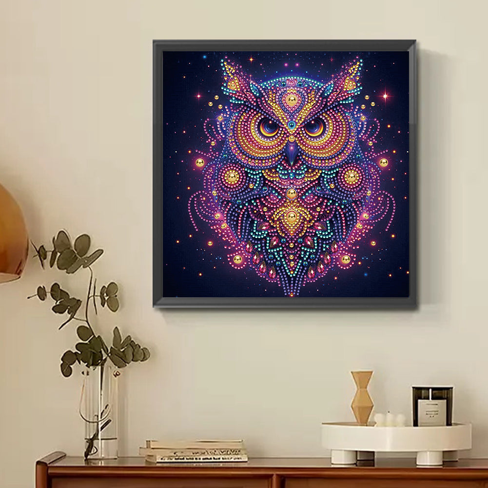 Starlight Animal Owl - Partial Special-Shaped Drill Diamond Painting 30*30CM