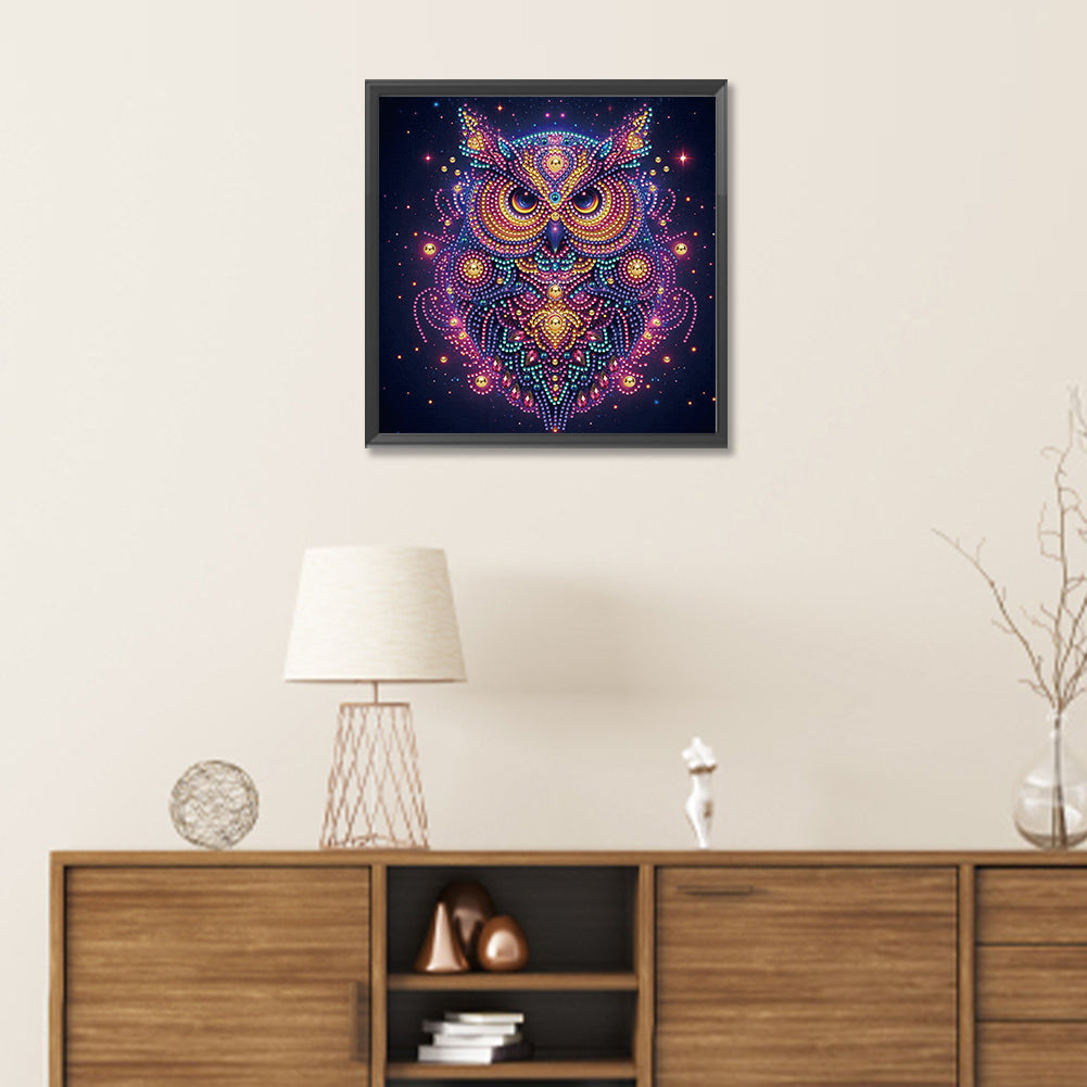 Starlight Animal Owl - Partial Special-Shaped Drill Diamond Painting 30*30CM