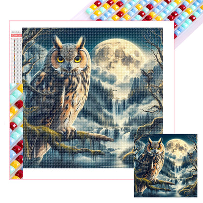 Owl - Full Square Drill Diamond Painting 40*40CM