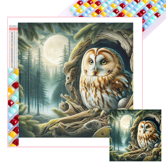 Owl - Full Square Drill Diamond Painting 40*40CM