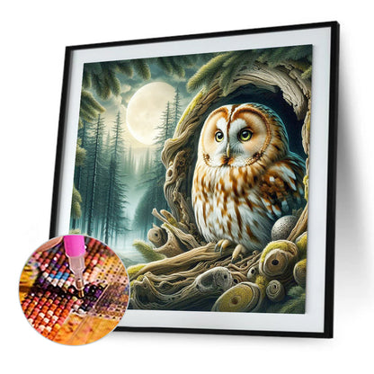 Owl - Full Square Drill Diamond Painting 40*40CM