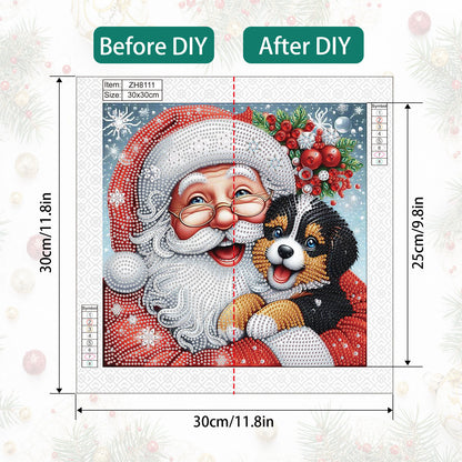 Santa Claus - Partial Special-Shaped Drill Diamond Painting 30*30CM