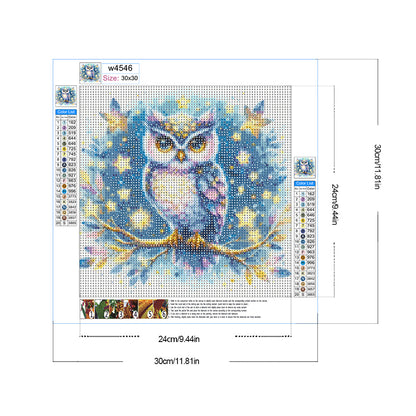 Owl - Full Round Drill Diamond Painting 30*30CM