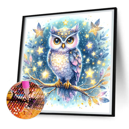 Owl - Full Round Drill Diamond Painting 30*30CM