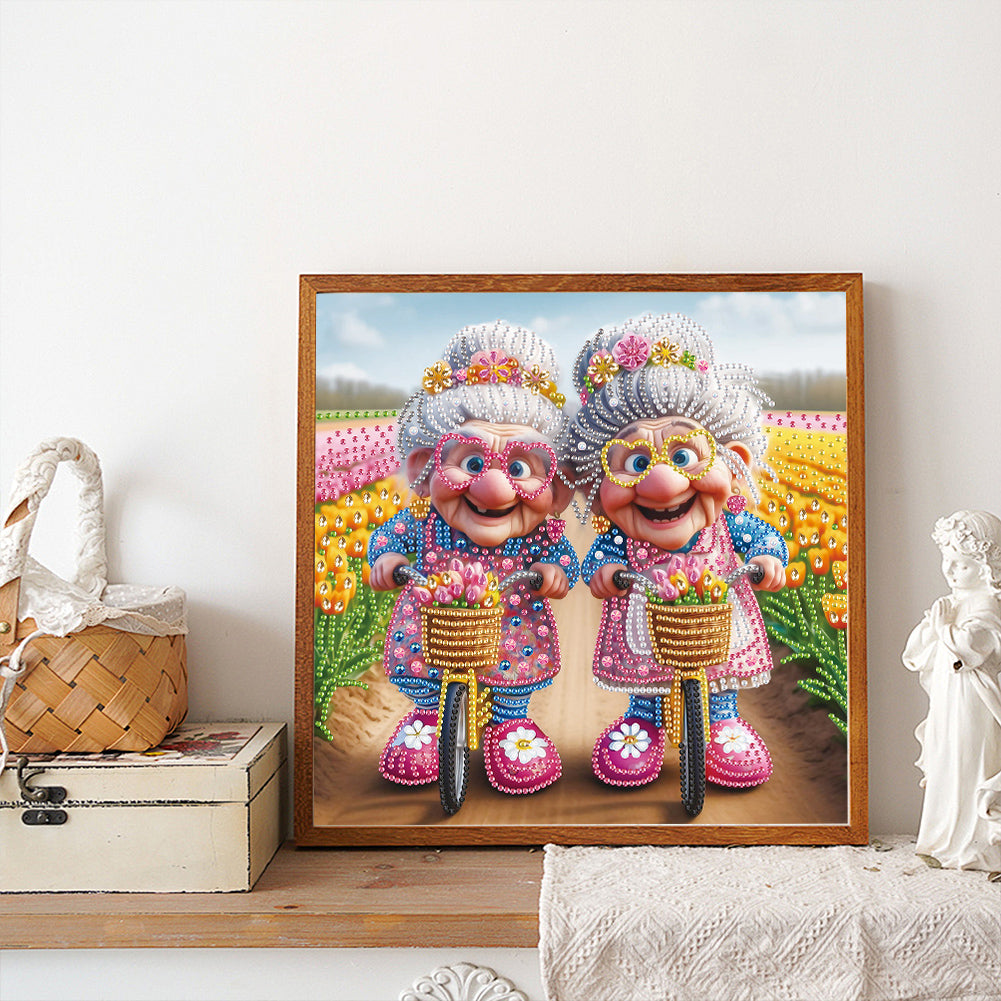 Cute Old Grandma - Partial Special-Shaped Drill Diamond Painting 30*30CM