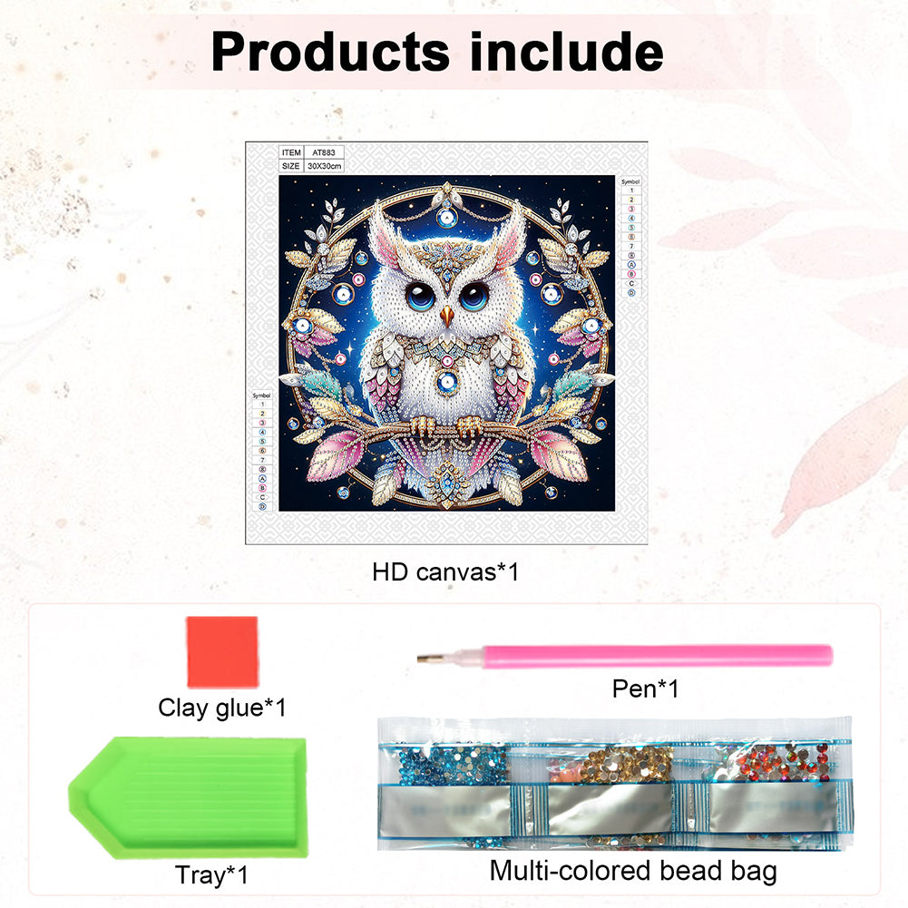 Owl - Special Shaped Drill Diamond Painting 30*30CM