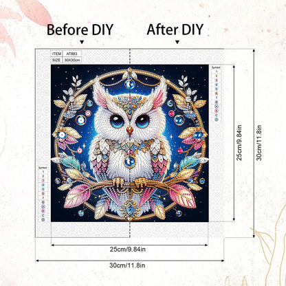 Owl - Special Shaped Drill Diamond Painting 30*30CM
