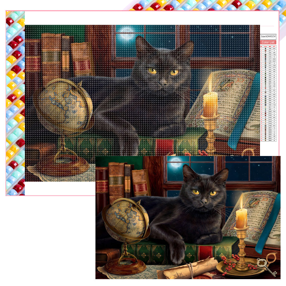 Black Cat - Full Square Drill Diamond Painting 60*40CM