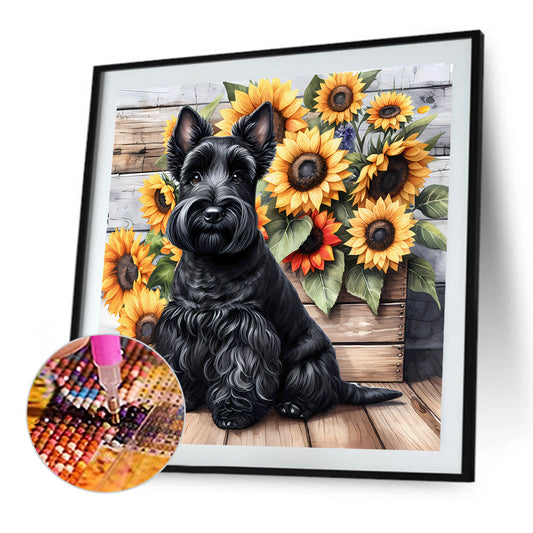 Schnauzer - Full Round Drill Diamond Painting 40*40CM