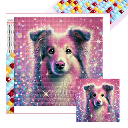 Shining Diamond Shetland Sheepdog - Full Square Drill Diamond Painting 40*40CM